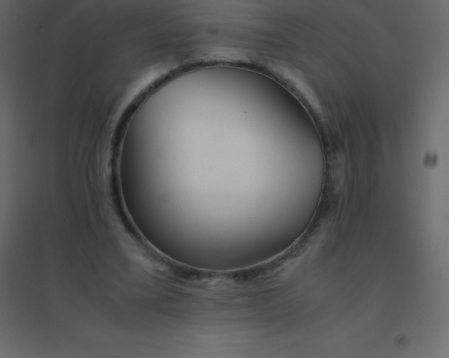 X0000094950395200712131627