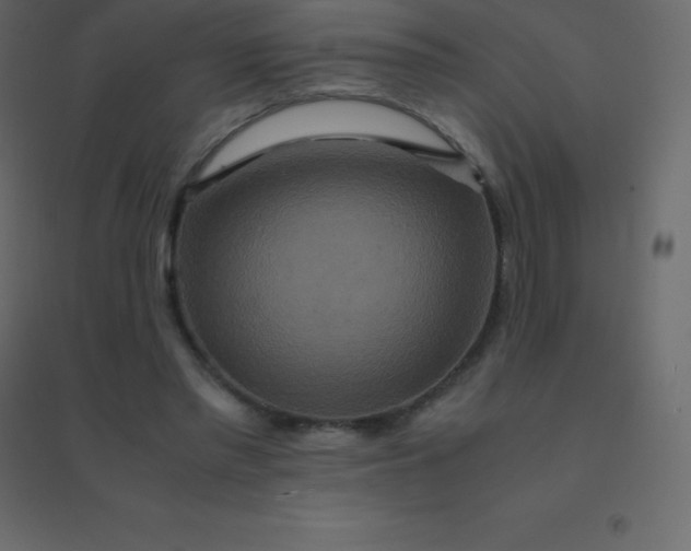 X0000094950397200712131627