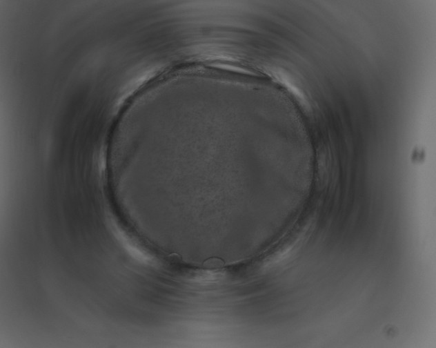 X0000094950398200712131627