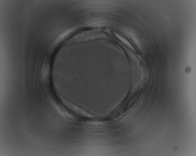 X0000094950400200712131627