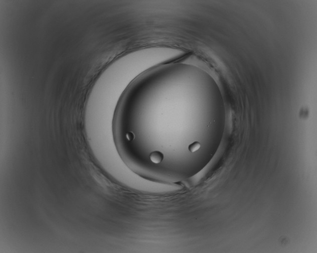 X0000094950401200712131626