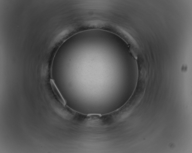 X0000094950403200712131626