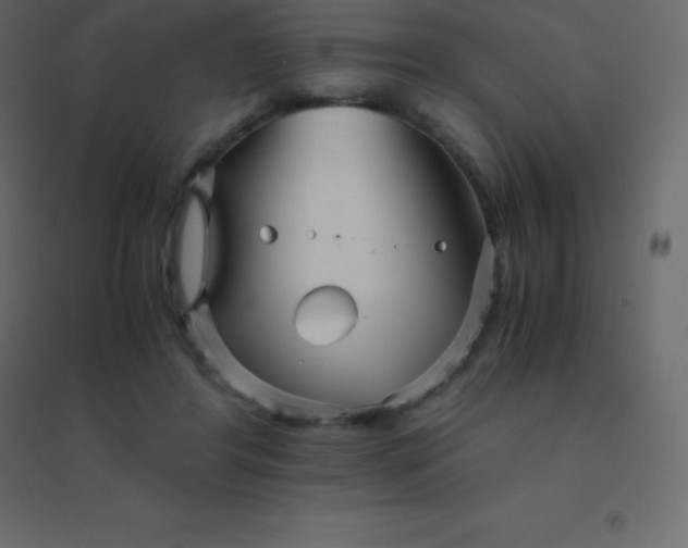 X0000094950404200712131626