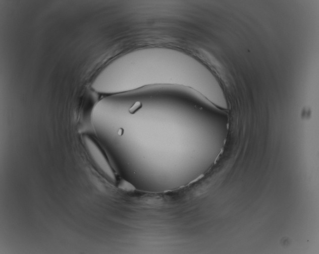 X0000094950405200712131626