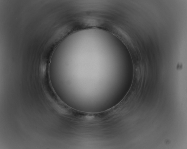 X0000094950406200712131626