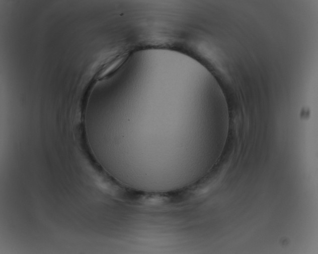 X0000094950407200712131626