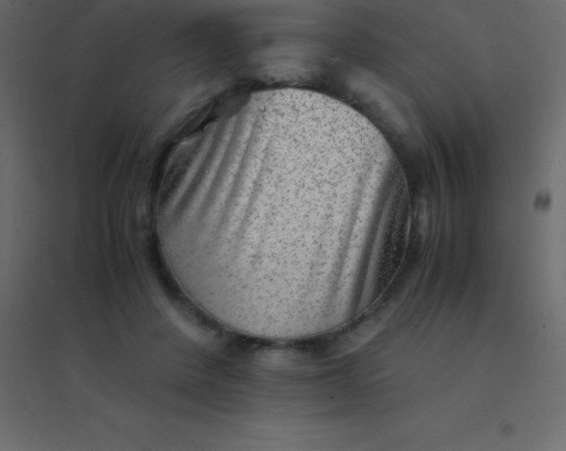 X0000094950408200712131626