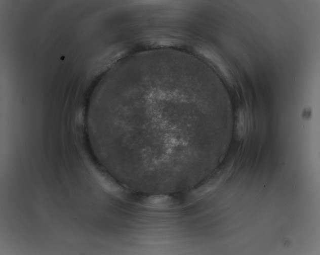 X0000094950410200712131626