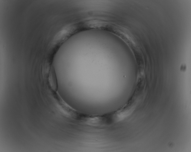 X0000094950411200712131626