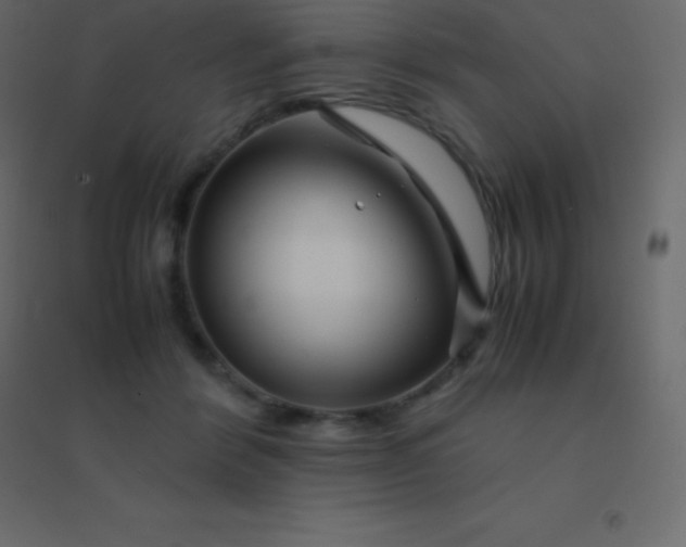 X0000094950412200712131626