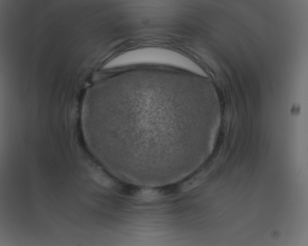 X0000094950413200712131626