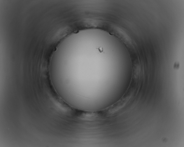 X0000094950414200712131626