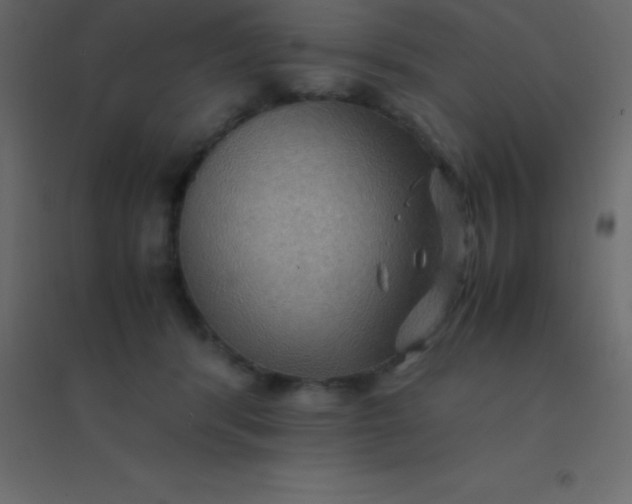 X0000094950416200712131626