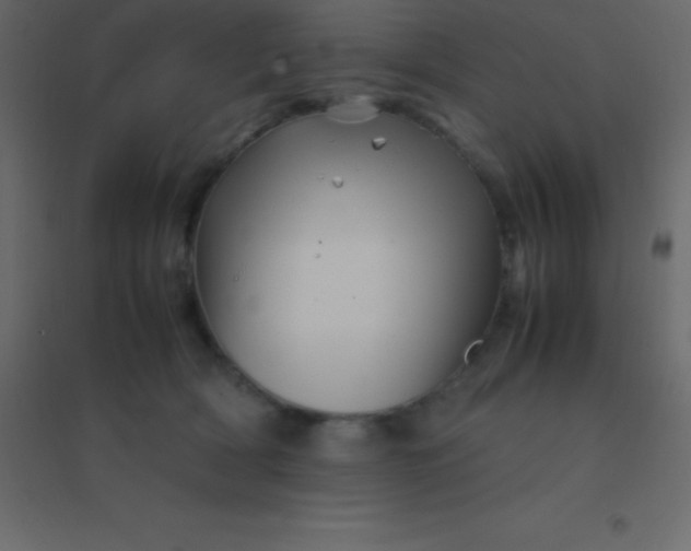 X0000094950418200712131626