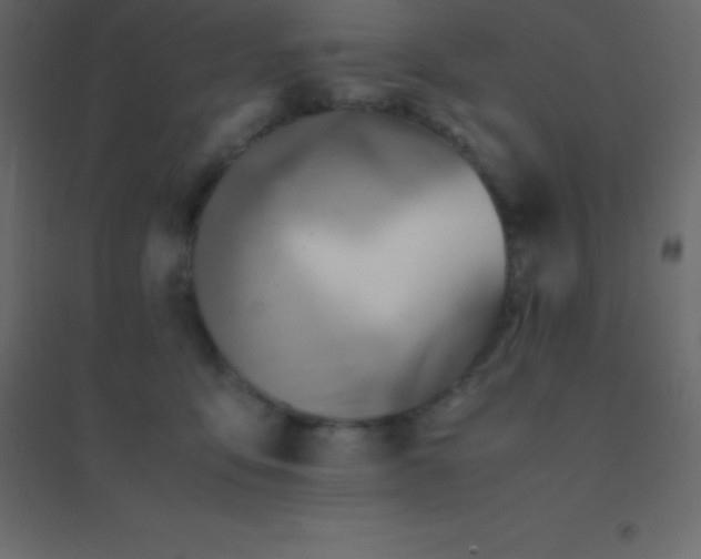 X0000094950419200712131626