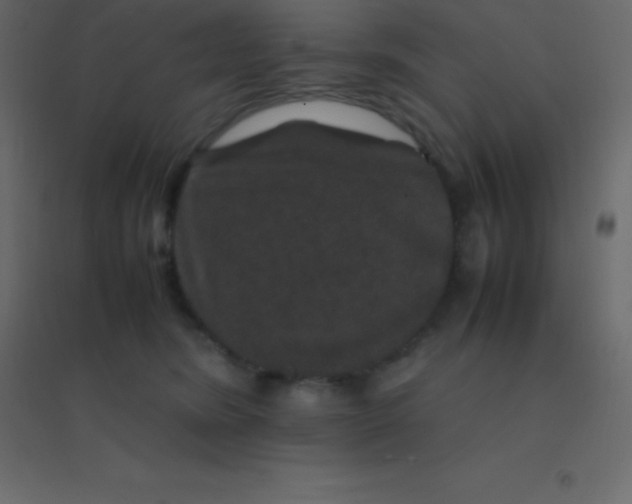 X0000094950420200712131626