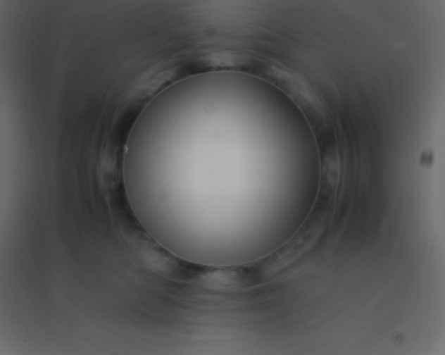 X0000094950422200712131626