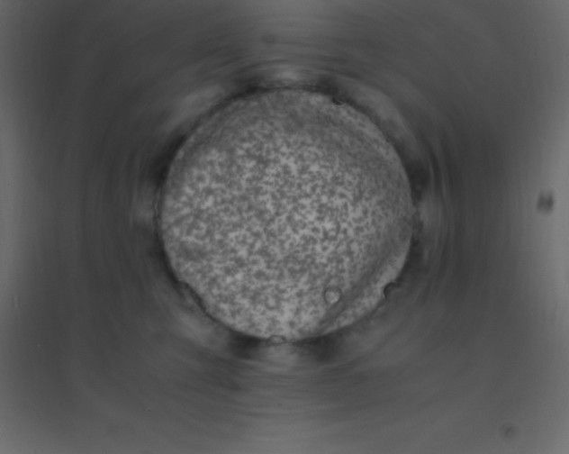 X0000094950423200712131626