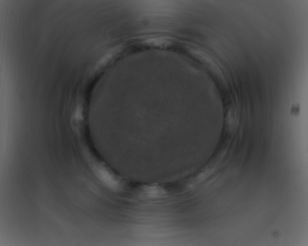 X0000094950424200712131626