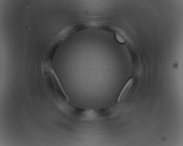 X0000094950425200712131626