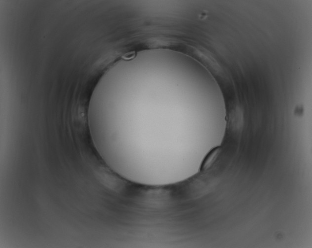 X0000094950426200712131626