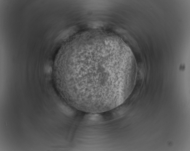 X0000094950427200712131626