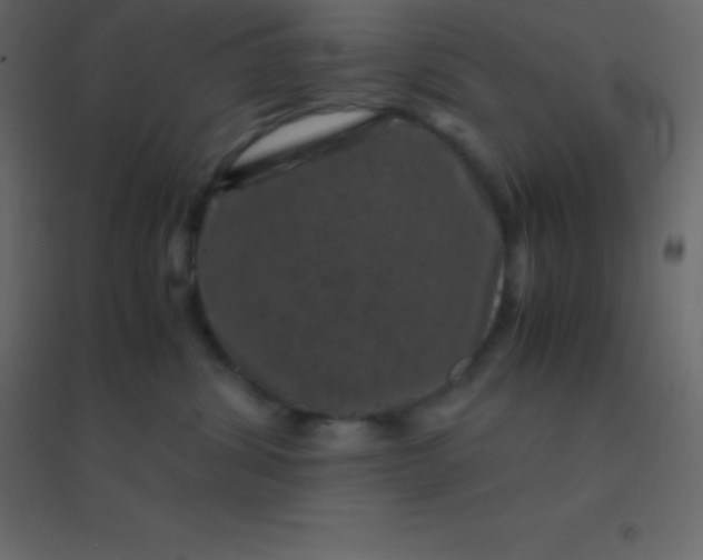 X0000094950428200712131626