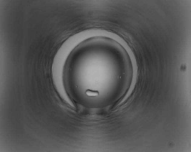 X0000094950429200712131626