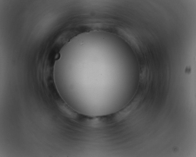 X0000094950430200712131626