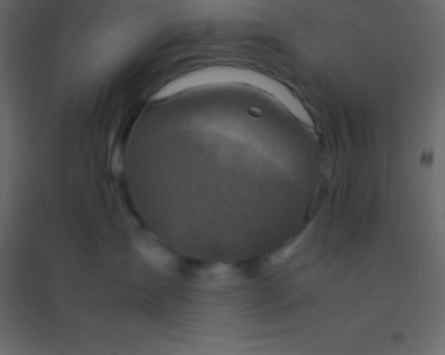 X0000094950431200712131626