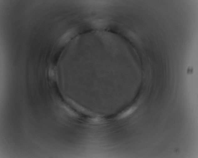 X0000094950432200712131626