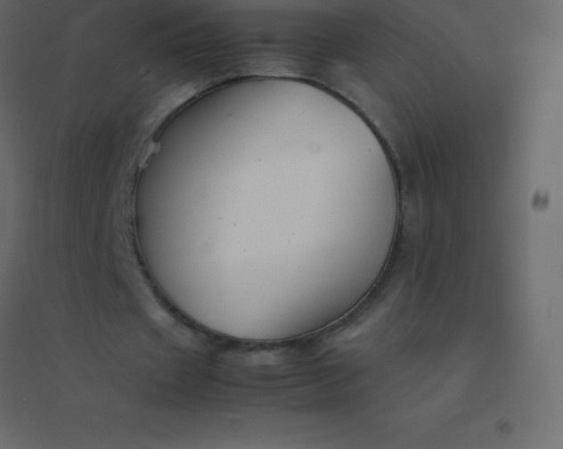 X0000094950433200712131625