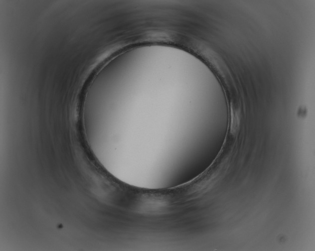 X0000094950435200712131625