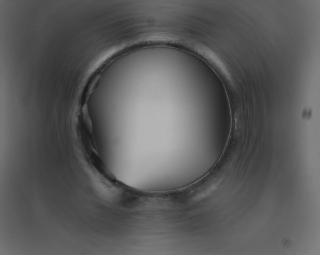 X0000094950436200712131625