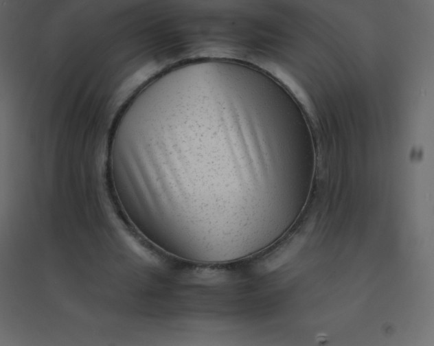 X0000094950437200712131625