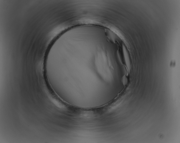 X0000094950438200712131625