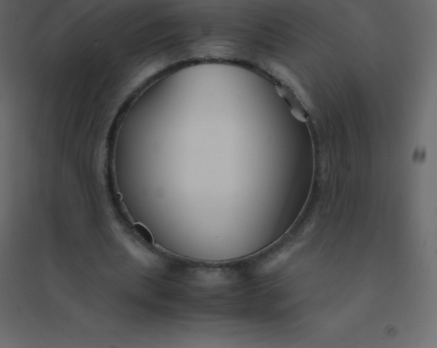 X0000094950439200712131625