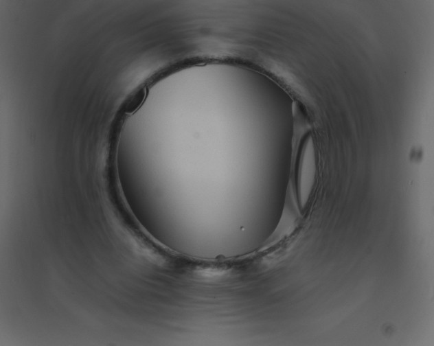 X0000094950440200712131626