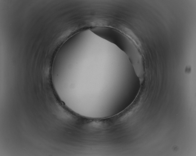 X0000094950441200712131626