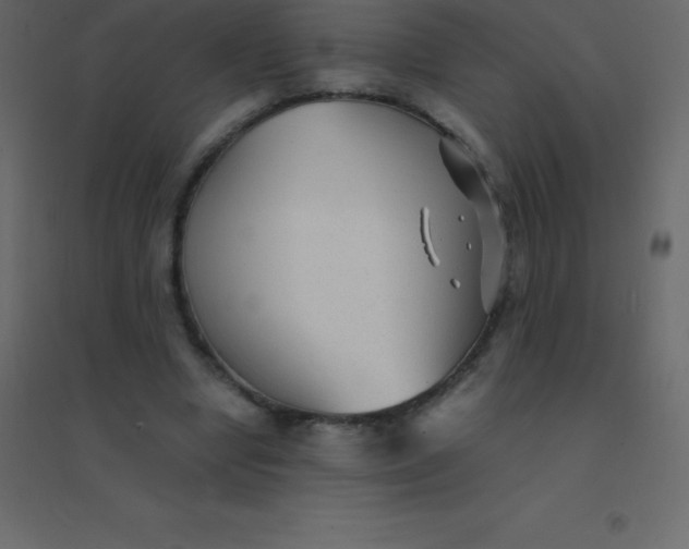 X0000094950442200712131626