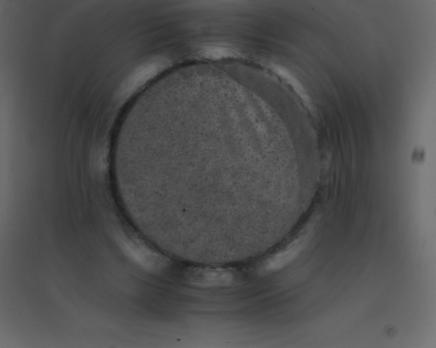 X0000094950443200712131626