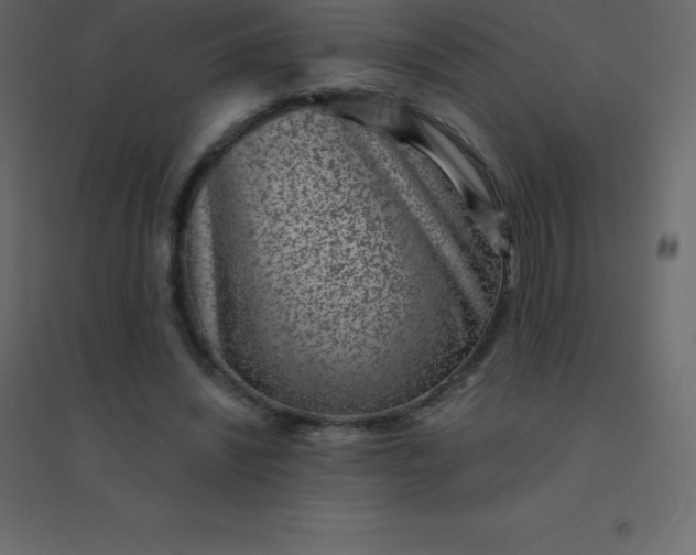 X0000094950444200712131626