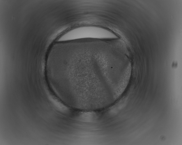 X0000094950446200712131626