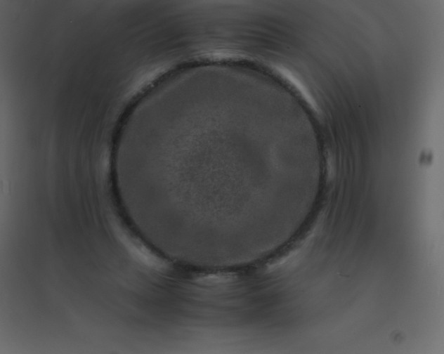 X0000094950447200712131626