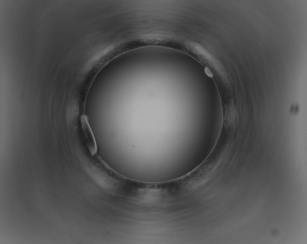 X0000094950448200712131626