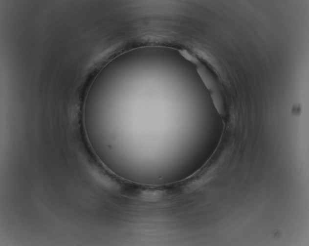 X0000094950450200712131626