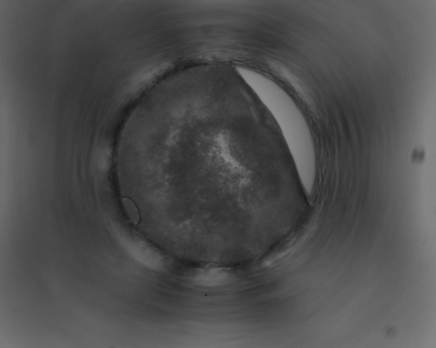 X0000094950451200712131626