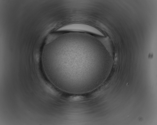 X0000094950452200712131626