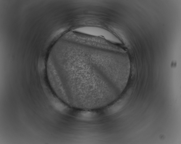 X0000094950453200712131626