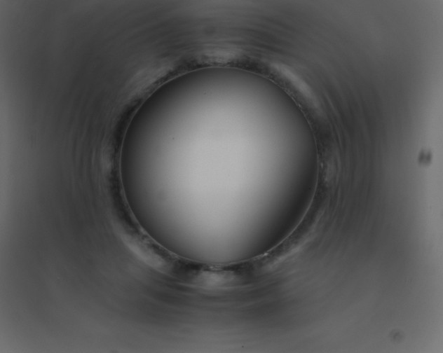 X0000094950455200712131626